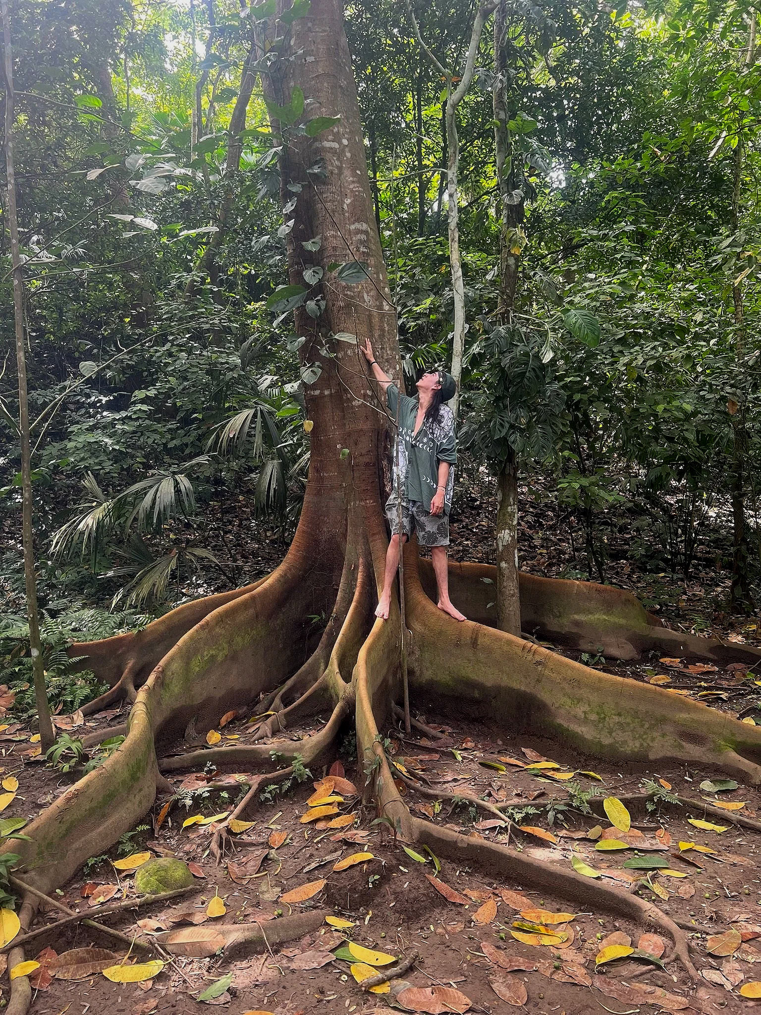 Persona conectando con un árbol en la selva